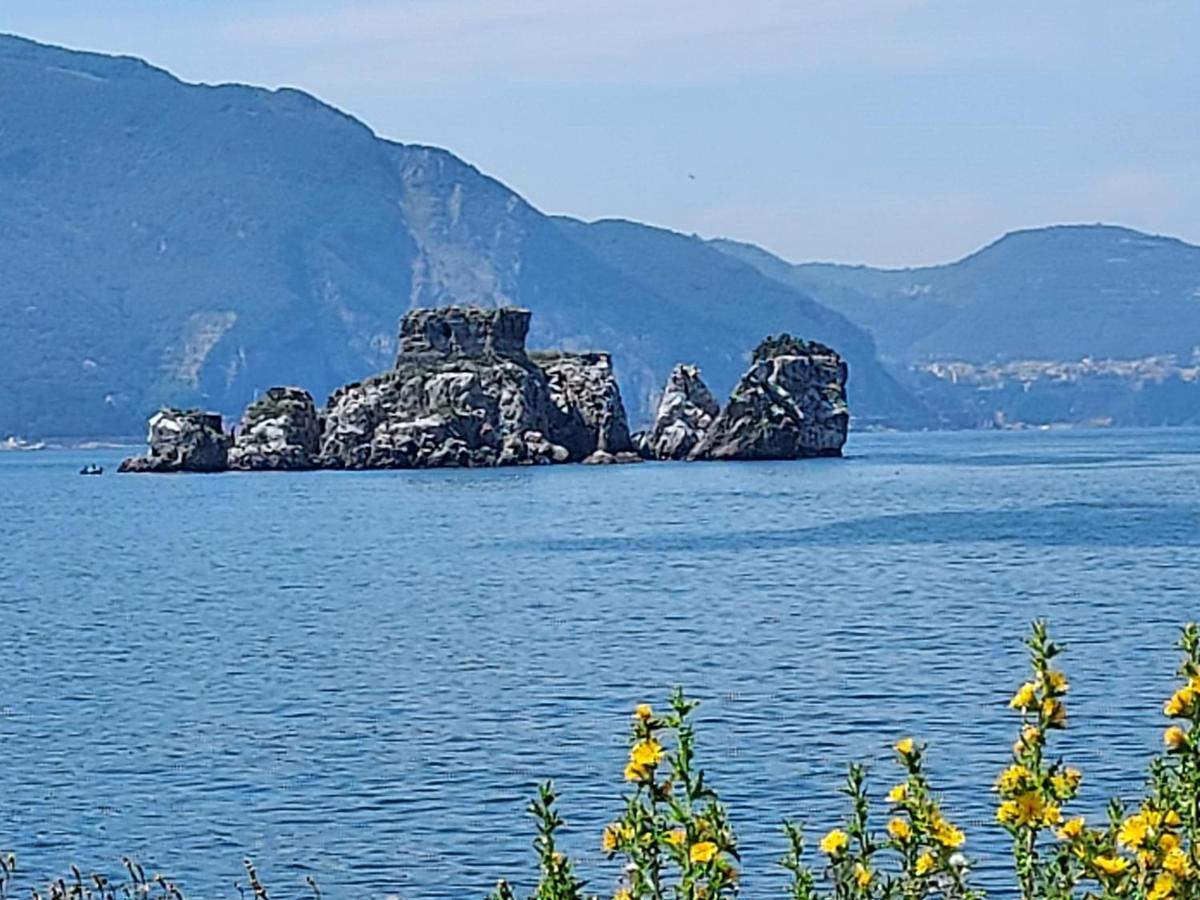 B&B Petra Hercules Torre Annunziata Eksteriør billede